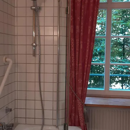 Apartment Altstadtapartment Rochusstrasse *