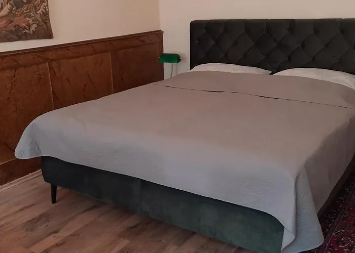 Apartment Altstadtapartment Rochusstrasse