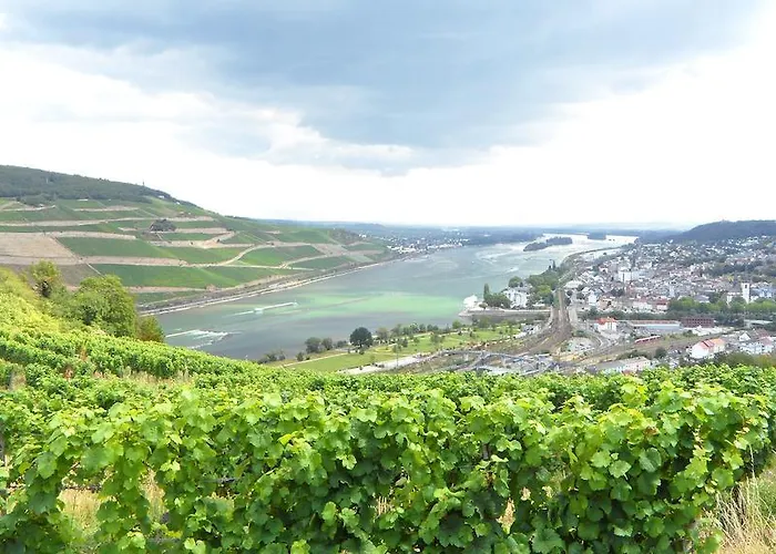 Apartment Altstadtapartment Rochusstrasse