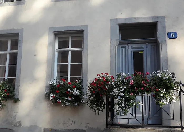 Apartment Altstadtapartment Rochusstrasse *